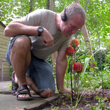 Arnold Schalks, de Vrije Schuur, Bloemlezen