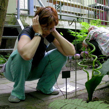 Arnold Schalks, de Vrije Schuur, Bloemlezen